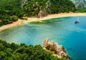 Ağaç Ev Konaklamalı Olimpos Turu